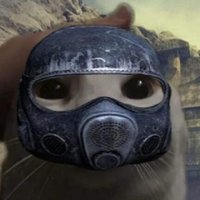 Gatito olvidadizo (@gatitodebarro) 's Twitter Profile