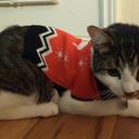 Edwin Whitehead - @EdwinWhitehead1 - Twitter