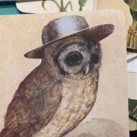 blizzard’s ghost (@patrictheguy) 's Twitter Profile Photo