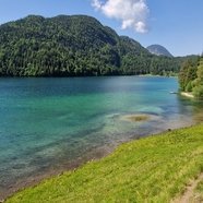 dffh530545's profile picture. 