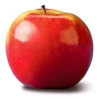 VagabondPedagogue (@theparpingbugle) 's Twitter Profile