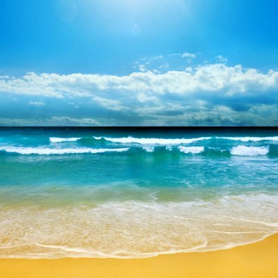 luc4much's profile picture. Empresario mexicano librepensador, amante de la libertad expresada en todas sus formas y nuevo navegante en este medio