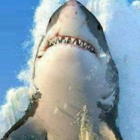 @Resg (@scorciaricardo8) 's Twitter Profile Photo @Resg (@scorciaricardo8) 's Twitter Profile Photo