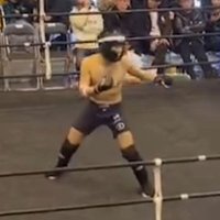 たんぱくファイター (@kt_junky) 's Twitter Profile