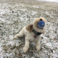 Dr. Fauci (@jakubak2mars) 's Twitter Profile
