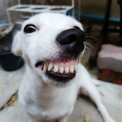 Varun40010369's profile picture. 