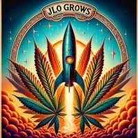 Justin🚀Time(@JloGrows) 's Twitter Profile Photo