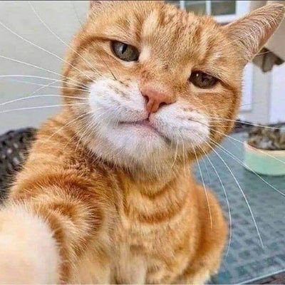 EmorejJCM's profile picture. 