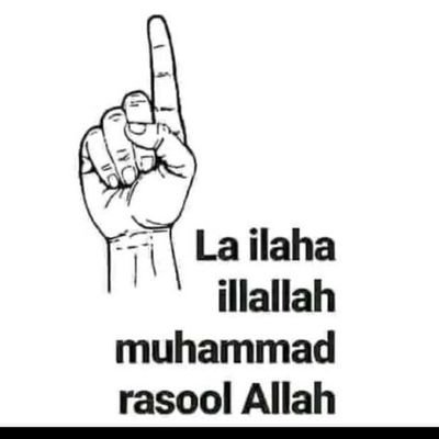 staralex30567's profile picture. 