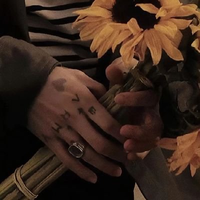 NiliMohammdi's profile picture. 