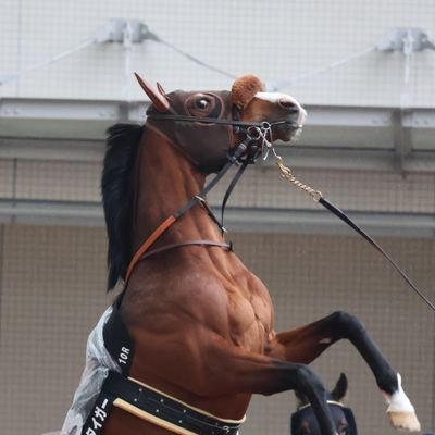 QFQbnSeqoYl6ICl's profile picture. 