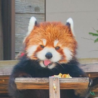 mozu0ak's profile picture. 成人済み（20↑）腐／日常も呟く　たまに字を書くアカウント　／FGO／FEifカムイくん推し／近親ものが好き／現在ngwkの尊直にどっぷり
保管庫→https://t.co/KLU9vtQtHX