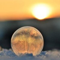 Burak_Cin (@haqq_cin) 's Twitter Profile