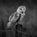 SimonRBoothPhotographer (@simonrbooth74) Twitter profile photo SimonRBoothPhotographer (@simonrbooth74) Twitter profile photo