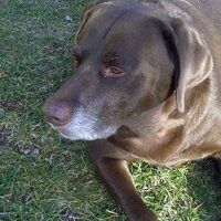 Micky in Lititz (@mickyt0409) 's Twitter Profile Photo