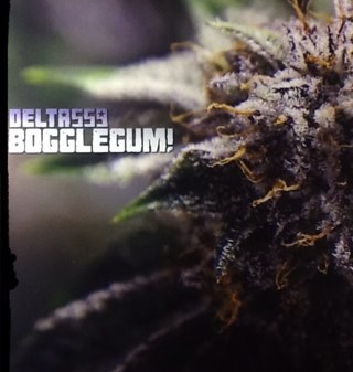 delta559's profile picture. @HIGH_TIMES_MAG Medical Cannabis Cup Winner (SF/2011) First-Place INDICA: Delta559 Bogglegum (Clean Green Certified) *Delta559, Rare Flowers and Extracts!