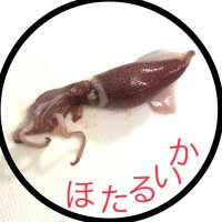 単身赴任自炊のススメ(@ninoito2) 's Twitter Profile Photo