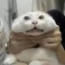 gấu đen=)) (@bark_dengl) Twitter profile photo gấu đen=)) (@bark_dengl) Twitter profile photo