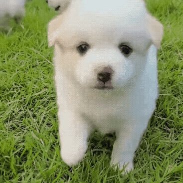 jskcnaas's profile picture. 