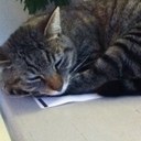 julian sander moes - @julianmoes - Twitter