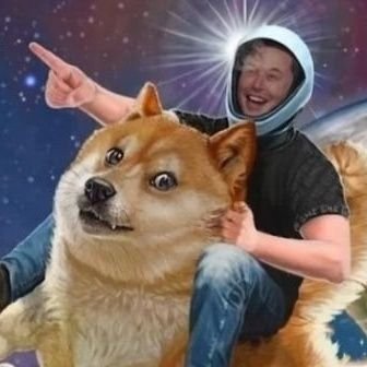 nogiseog134124's profile picture. 