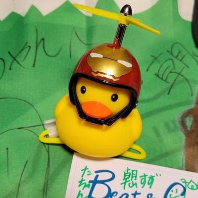 tachan_ninja Profile Picture
