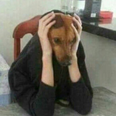 zamaom's profile picture. NCT127💚 WINNER💙