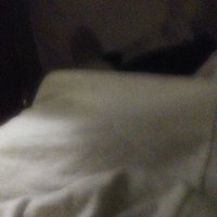 Jason Vix (@shack80756) 's Twitter Profile