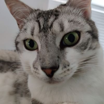 drupalbloke's profile picture. Web developer and football fan in Exeter.