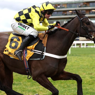 exchangetips's profile picture. Gamble Responsibly