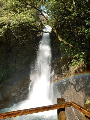 Melt_i_2's profile picture. 放課後サリ裏同盟