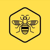 Bee Network(@BeeNetwork) 's Twitter Profileg