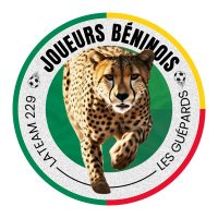 Joueurs Béninois 🇧🇯(@JoueursBJ) 's Twitter Profile Photo