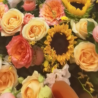 z5v3LDavJ257453's profile picture. 