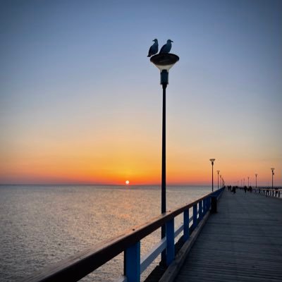 invincible_ete_'s profile picture. Путешествую