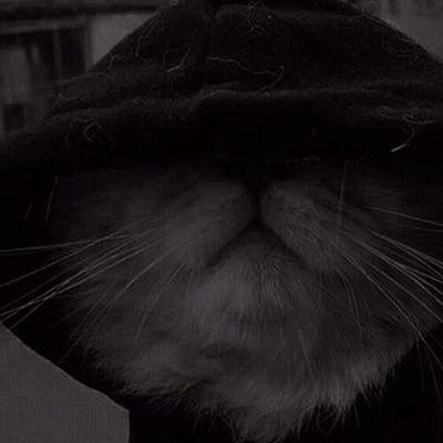 oneandonlyMEhh's profile picture. 🥂 | KeralaBlasters | 🎧

hopecore.