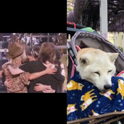 1997年にLUNA SEA（JR推しになりつつある）と出会いそこから沼にハマりっぱなし。❤️ 愛犬シナモン（柴犬♀）2022年12月24日に18歳5ヶ月９日でお空に🌈 他にも韓流ドラマ（Netflix）にもハマり中🎶 ピアニスト葉山拓亮さんも推してます。