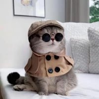 每天赛事 (@chrissy32346395) 's Twitter Profile Photo