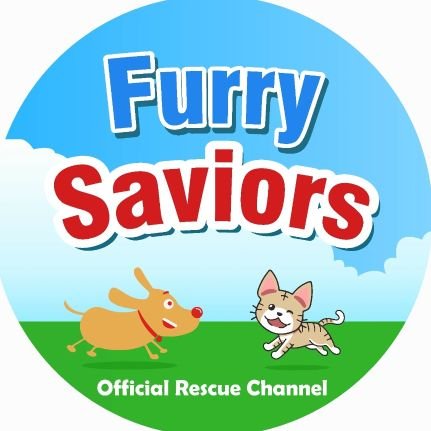 FurrySaviors is a channel that synthesizes events, news, and the latest animal rescue activities of the day. Please press the Subscribe button to not miss vid