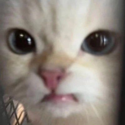 Matteo16621's profile picture. Love is like the wind, always by your side