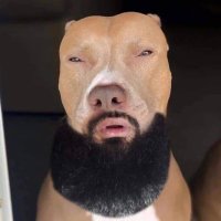 Jaxx Bricks (@kan_gewoon) 's Twitter Profile