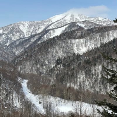 不完全燃焼だった若い頃の撮り鉄不足を補うべくあらがうアラフィフです。 無言フォロー失礼いたします。