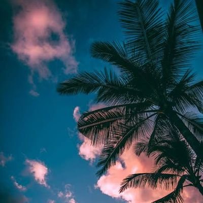 mokeiraalice1's profile picture. Extreme.