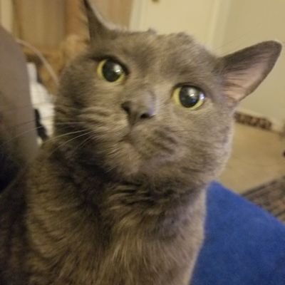 MPochout56804's profile picture. 