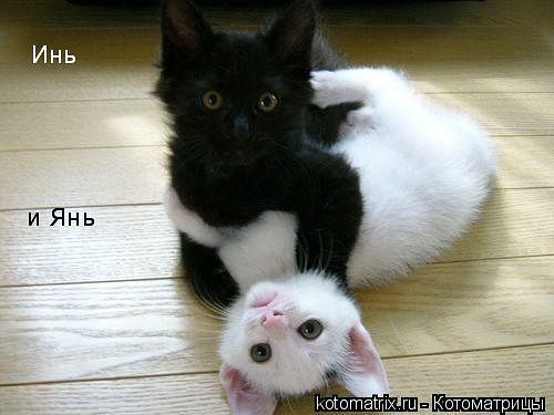 84Lukashuk's profile picture. Болею за Черноморец