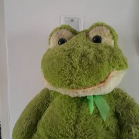 ORPIO (@orpiovlalt) 's Twitter Profile