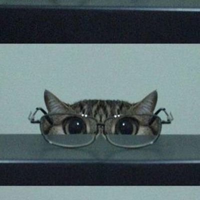 ulatpingkii's profile picture. aku siapa?