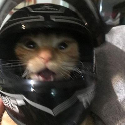 skip_alds's profile picture. 