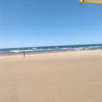 しの (@pomutaromusu) 's Twitter Profile