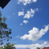 Juwita fytry (@juwitajs2504) 's Twitter Profile